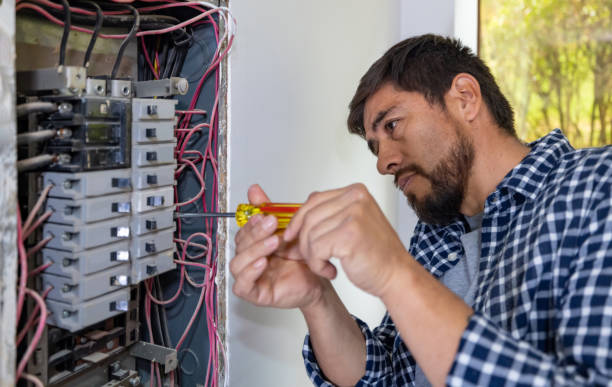 Best Electric Panel Repair  in Bristol, FL